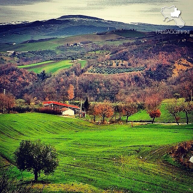 Vallesaccarda