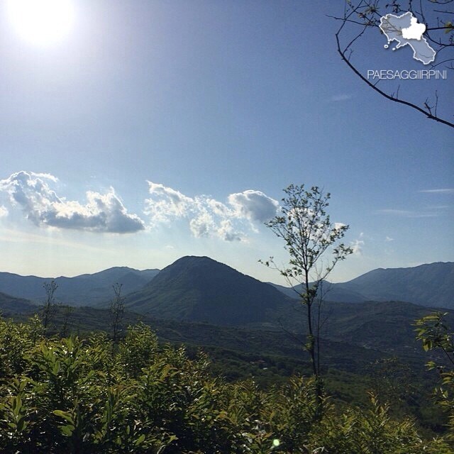 Aiello del Sabato - Bosco di Aiello del Sabato