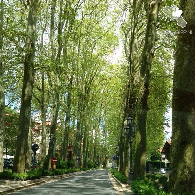 Cesinali