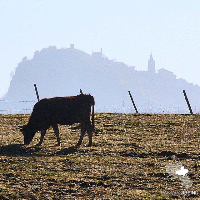 Cairano