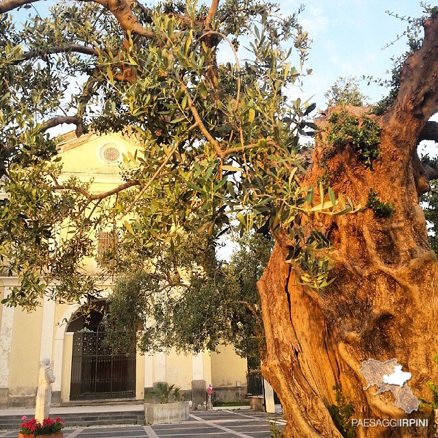 Taurano - Convento francescano di San Giovanni del Palco