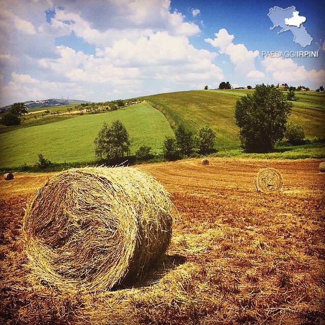 Savignano Irpino 