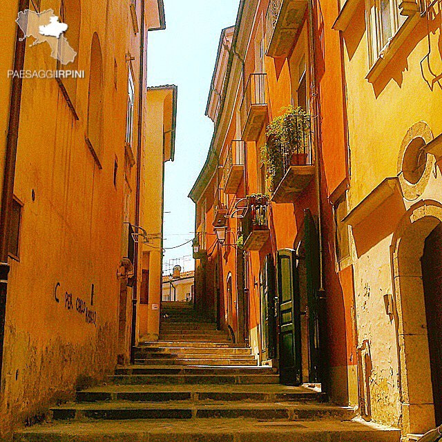Avellino