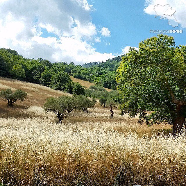Vallata