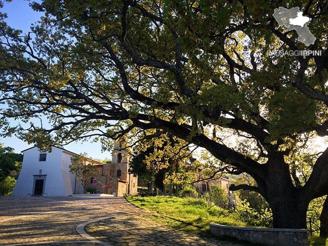 Aquilonia - Badia di San Vito