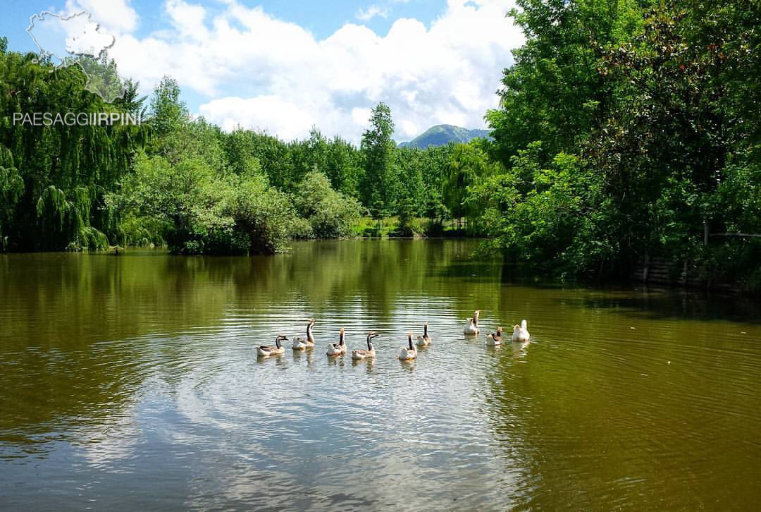 Rotondi - Giardino dei fratelli Perone