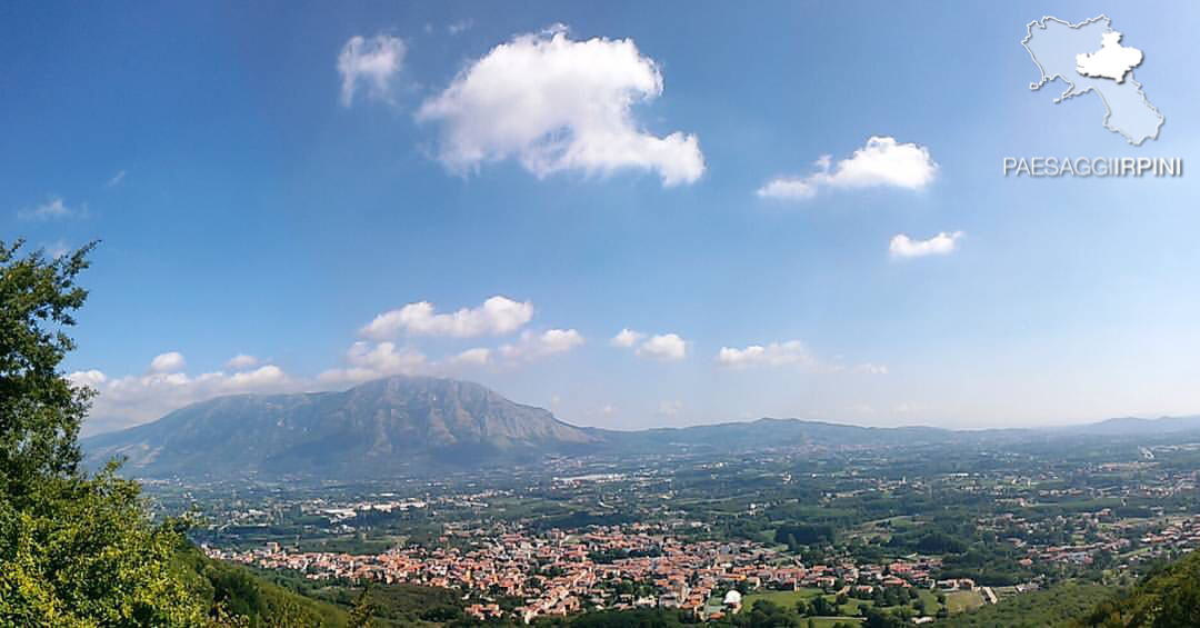 Rotondi