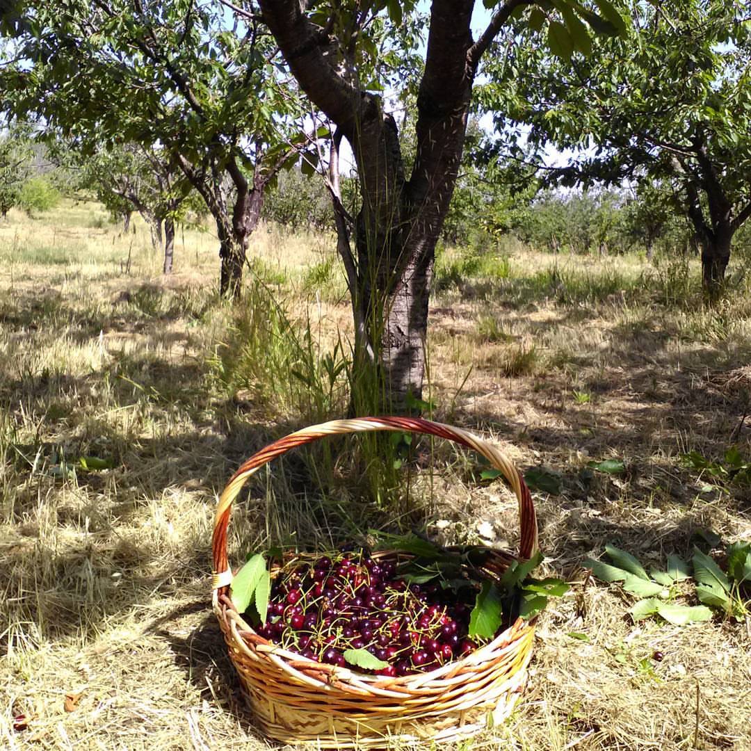 San Mango sul Calore 