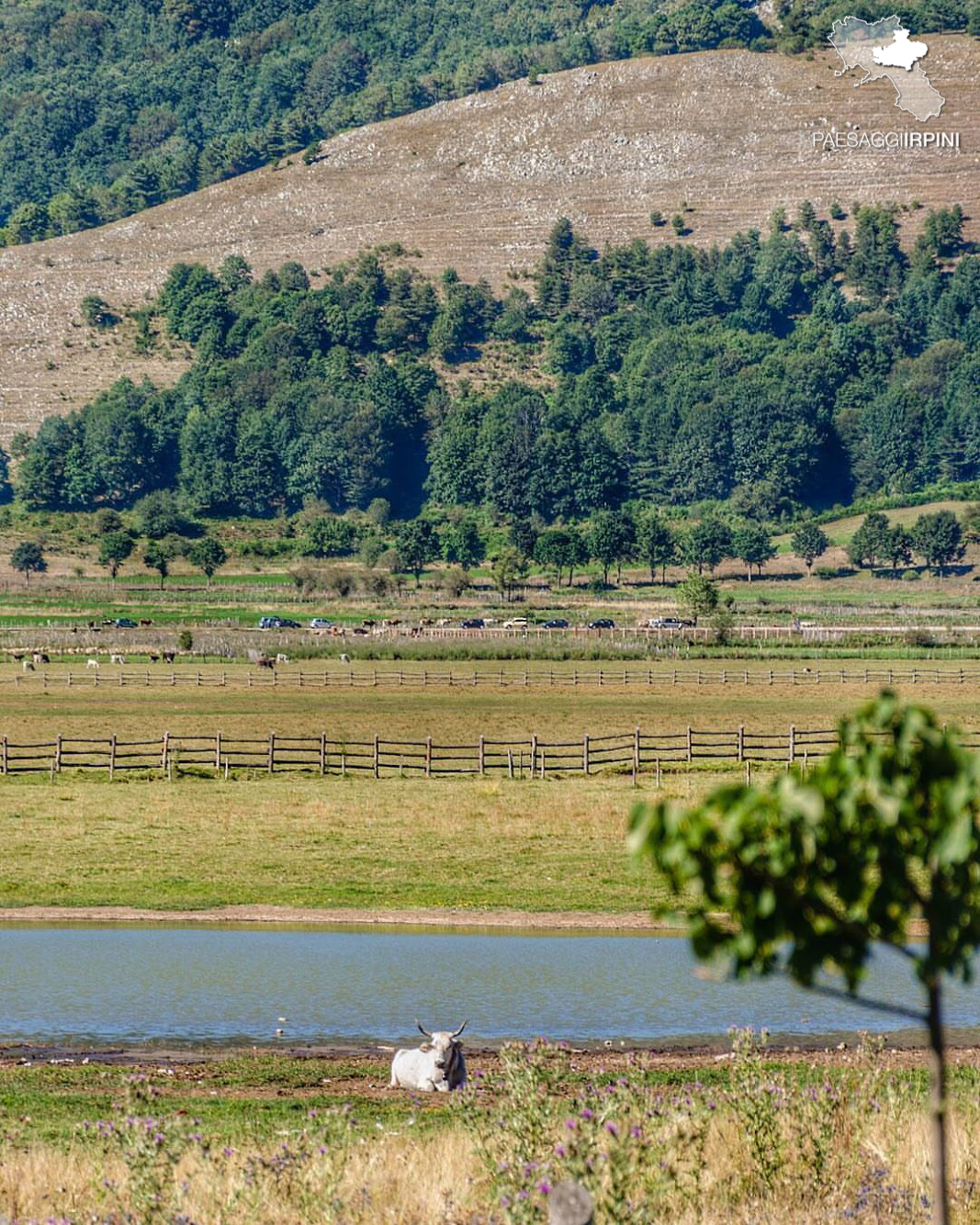 Bagnoli Irpino - Lago Laceno