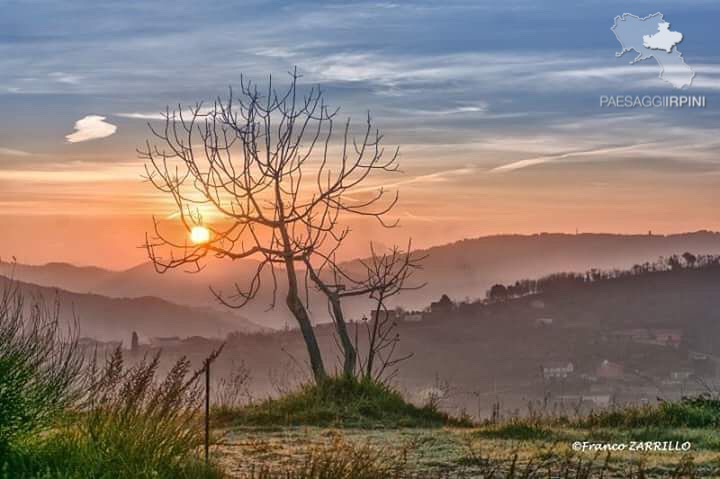 Montecalvo Irpino