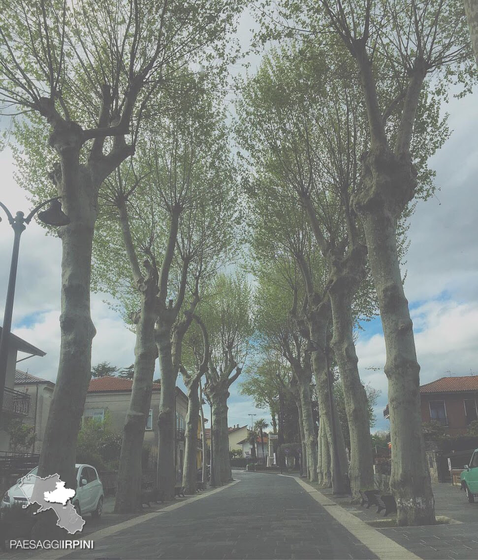 Cesinali
