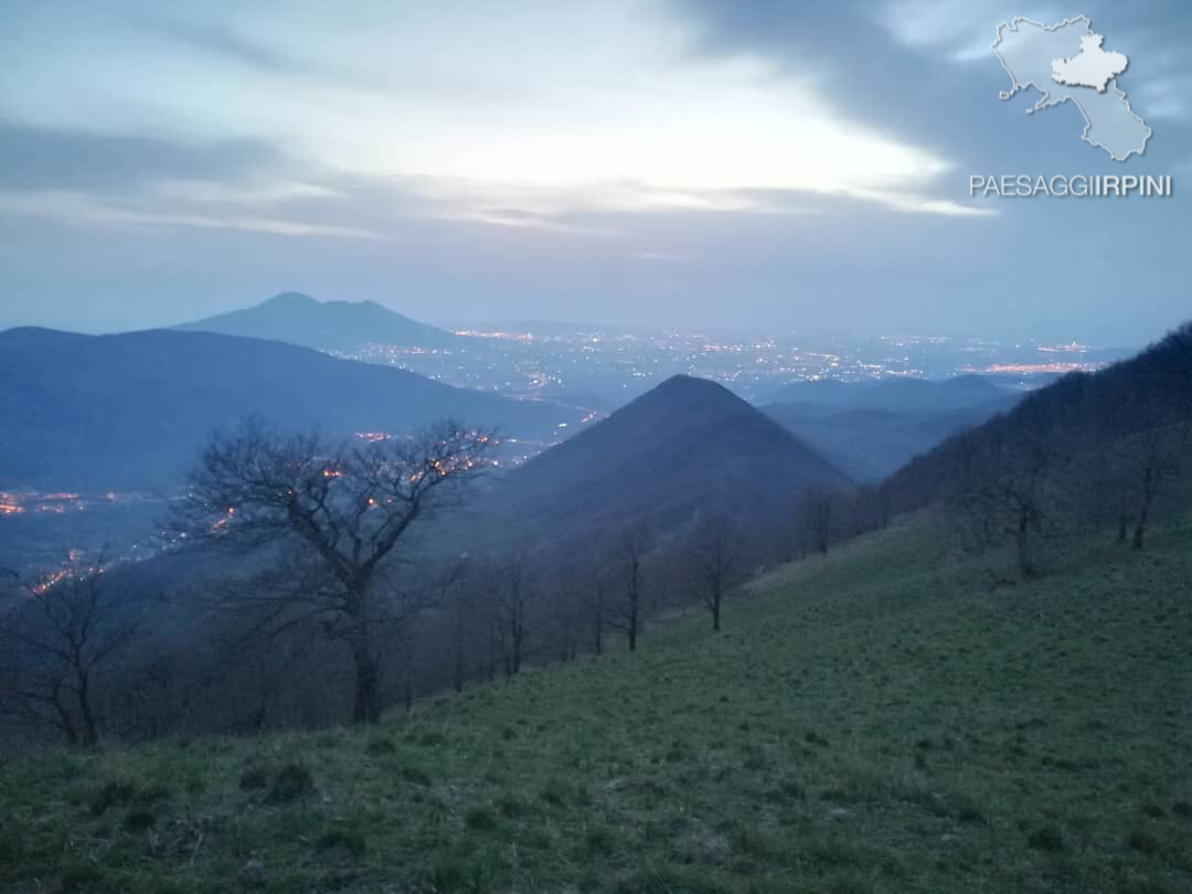 Moschiano