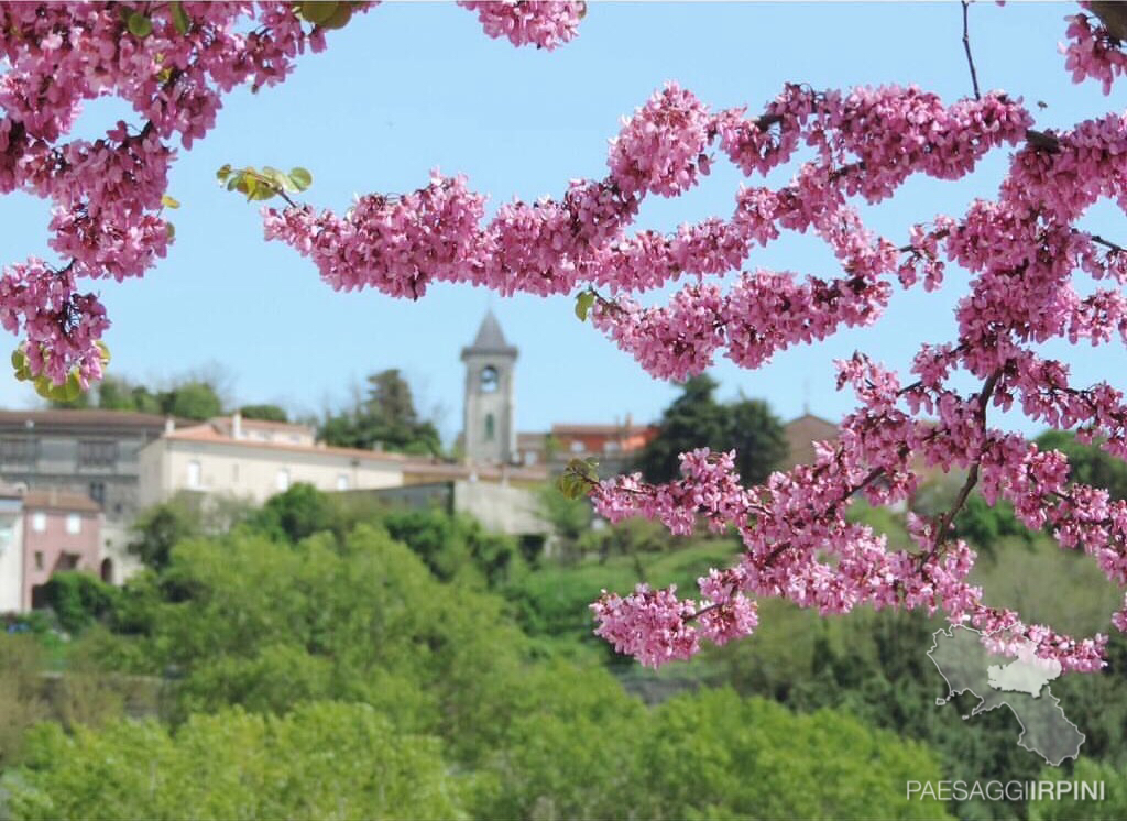 Villanova del Battista