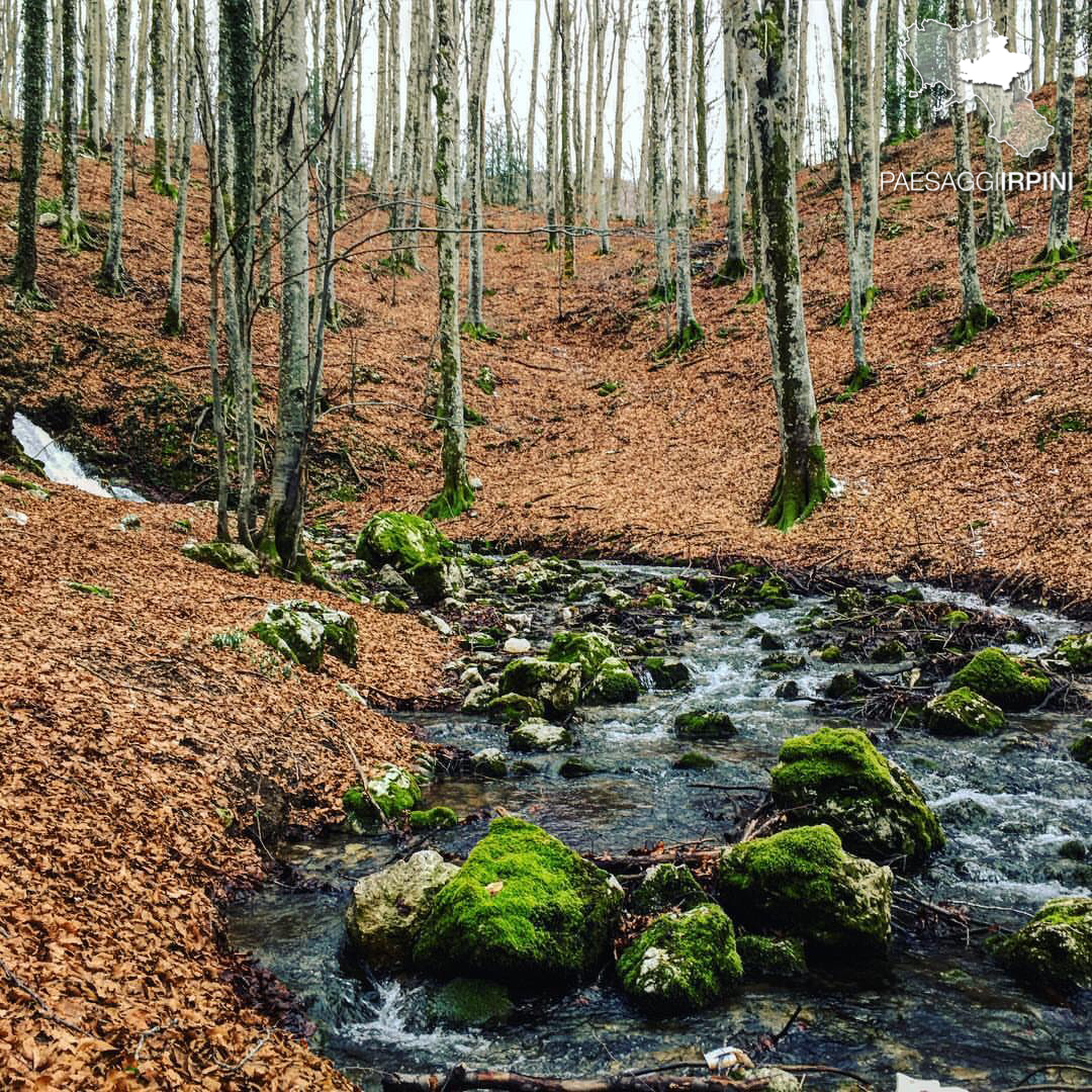 Serino - Monte Terminio