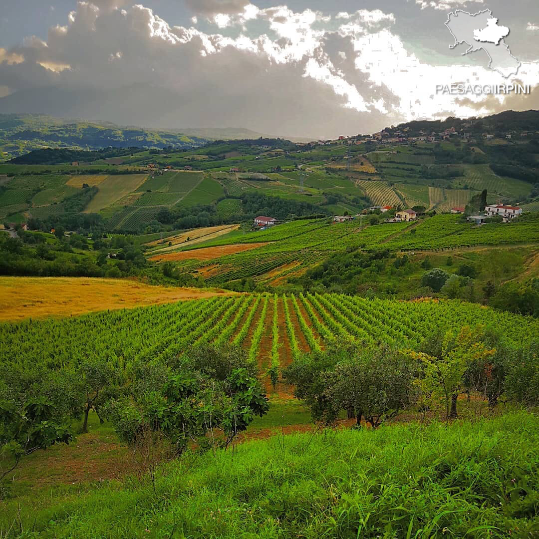 Montemiletto 