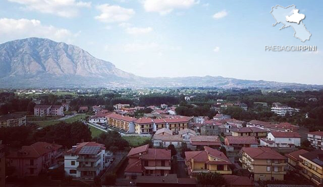 Rotondi