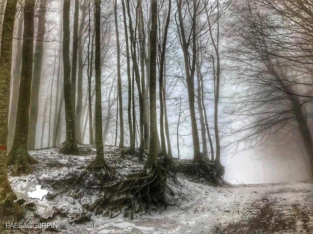 San Michele di Serino - Monte Terminio