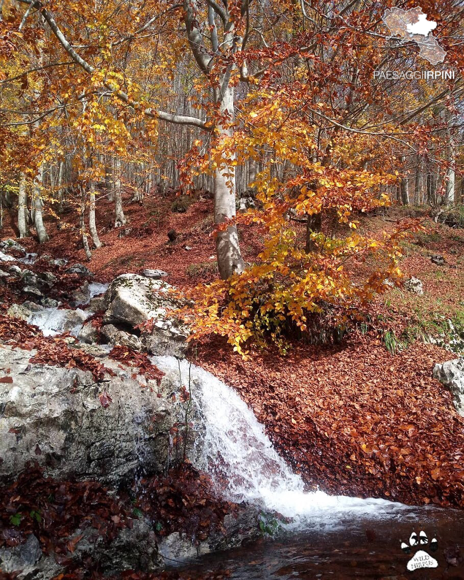 Serino - Monte Terminio