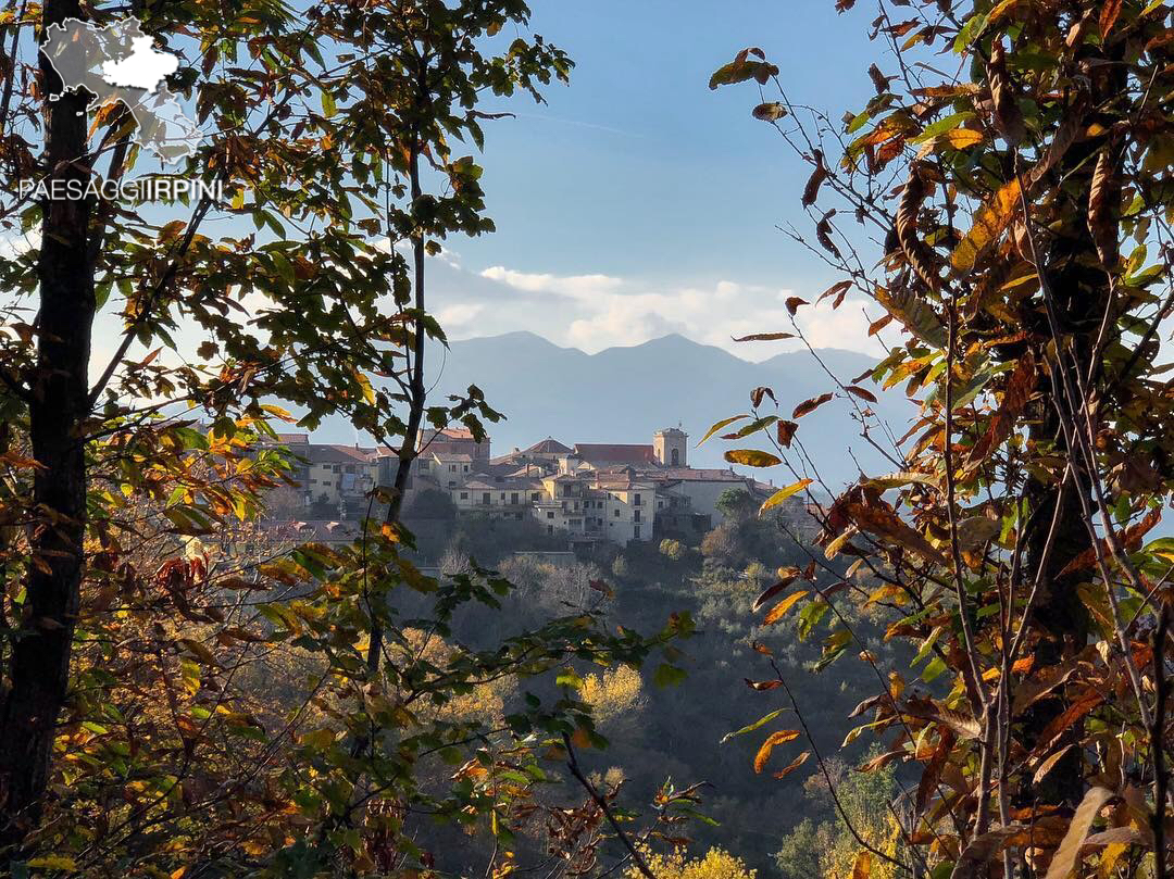 Chiusano di San Domenico 