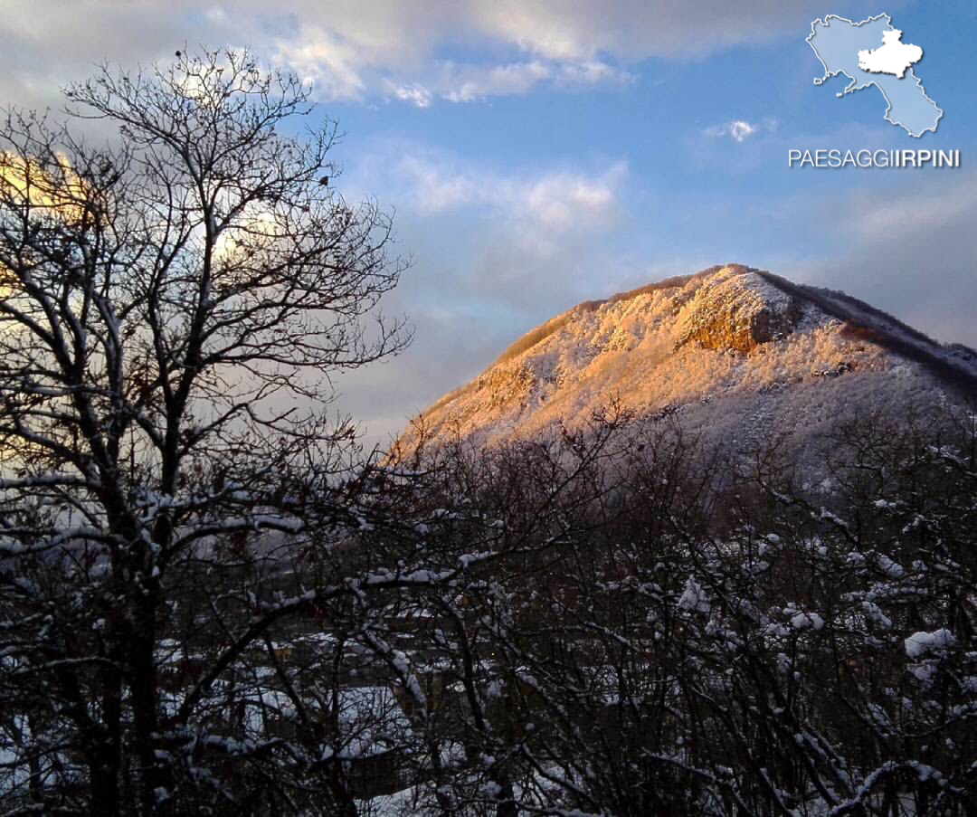 Contrada - Monte Faliesi