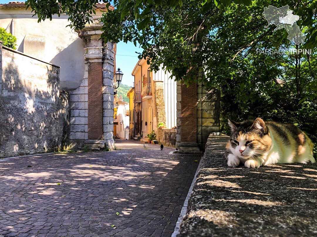 Salza Irpina - Centro storico