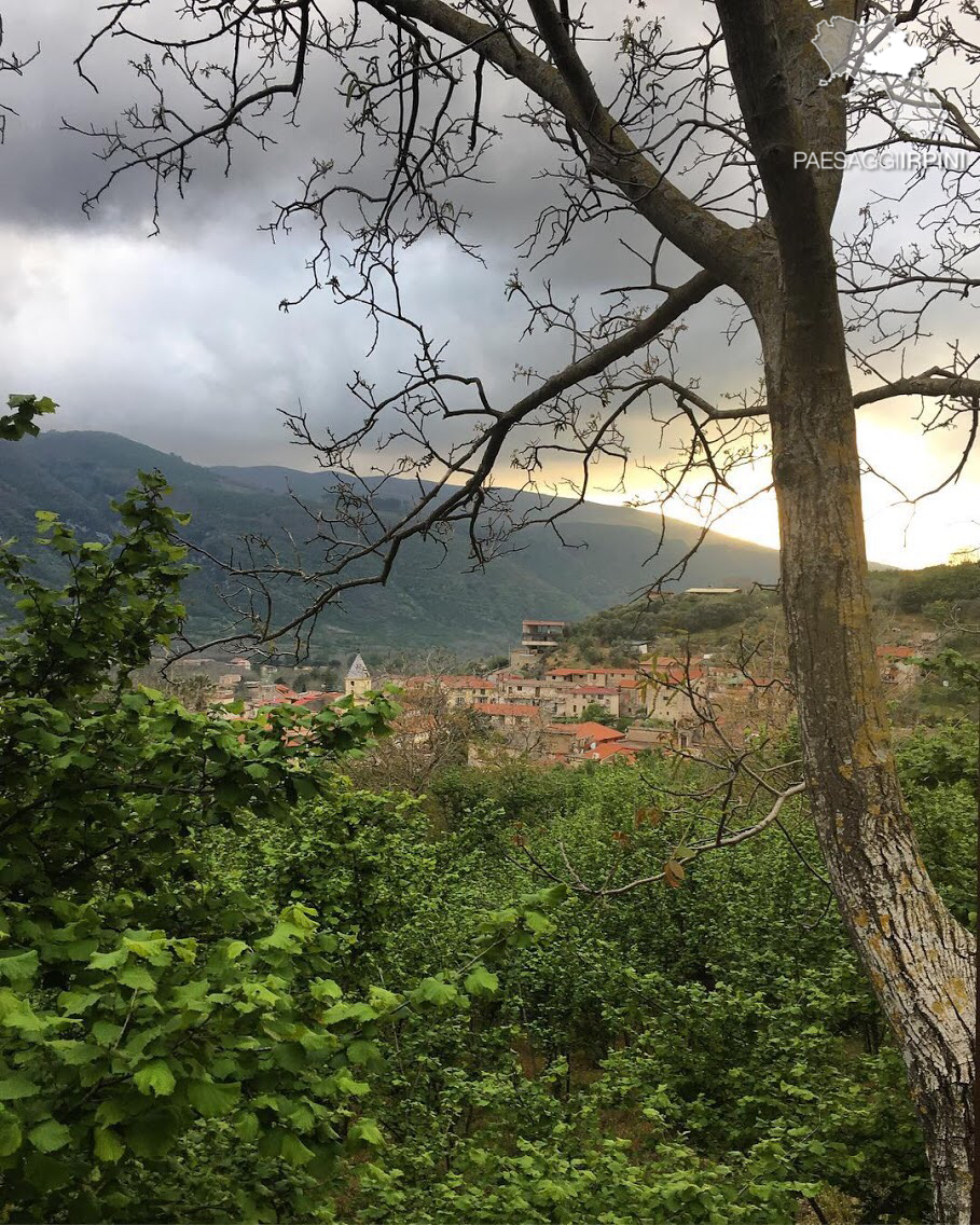Moschiano