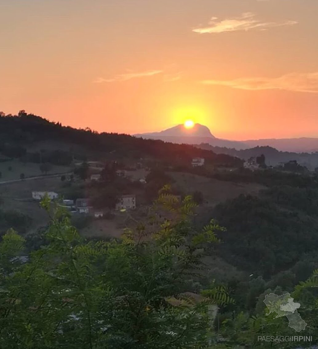 Teora