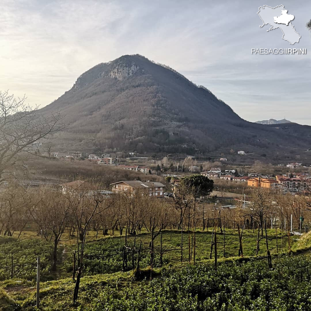 Contrada - Monte Faliesi