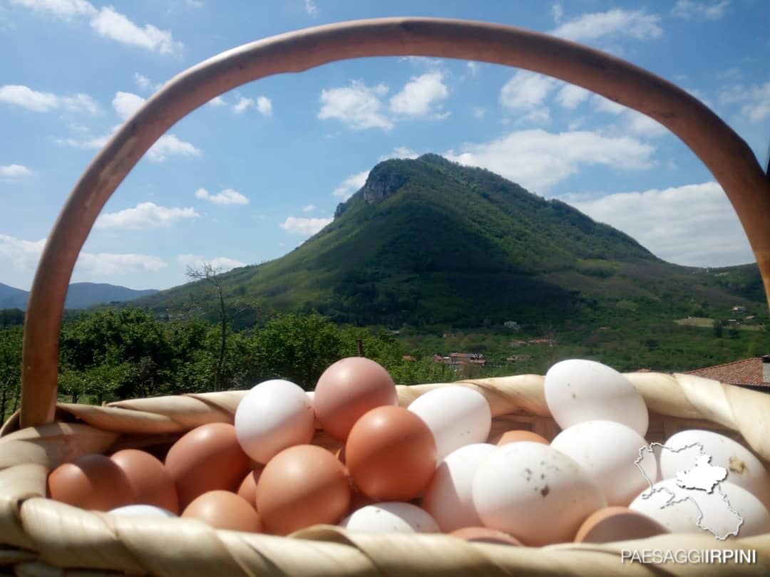 Contrada - Monte Faliesi