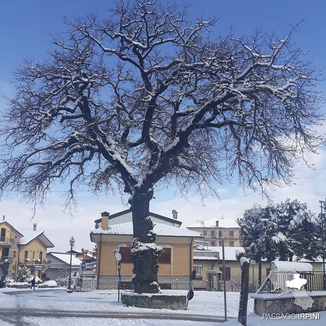 Aiello del Sabato