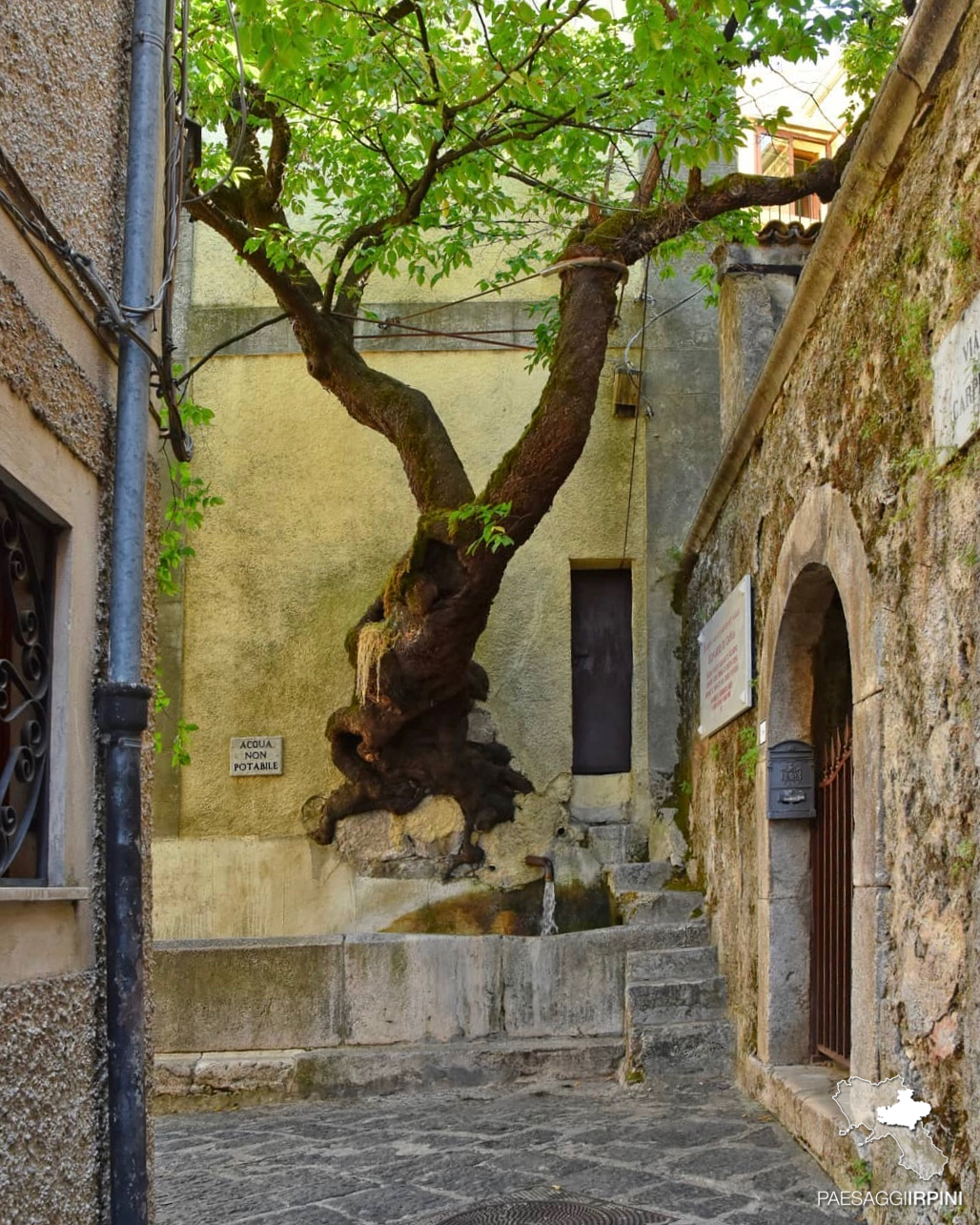 Bagnoli Irpino - Centro storico