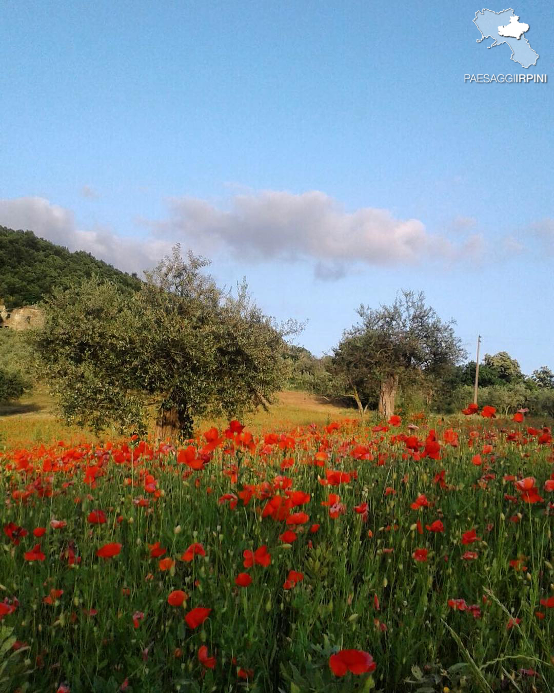 Castel Baronia