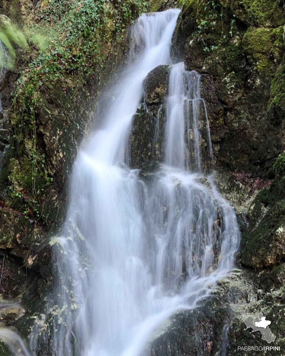 Chiusano di San Domenico