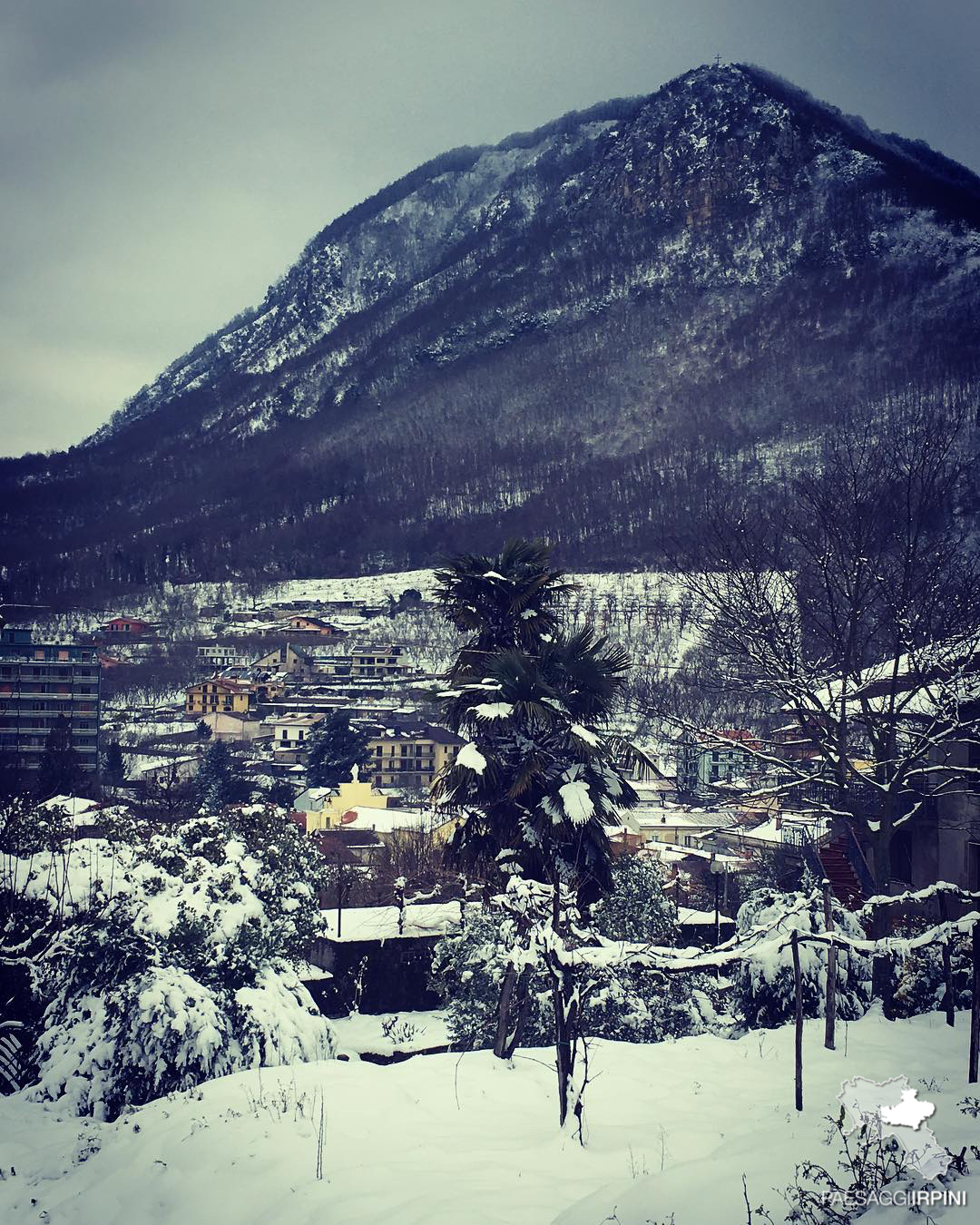 Contrada - Monte Faliesi