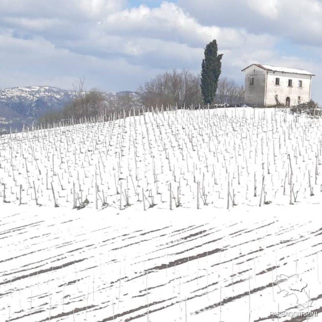 Grottolella - Fiano di Avellino