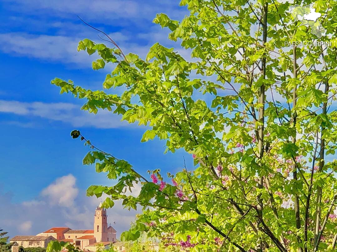 Montefalcione - Santuario di Sant'Antonio