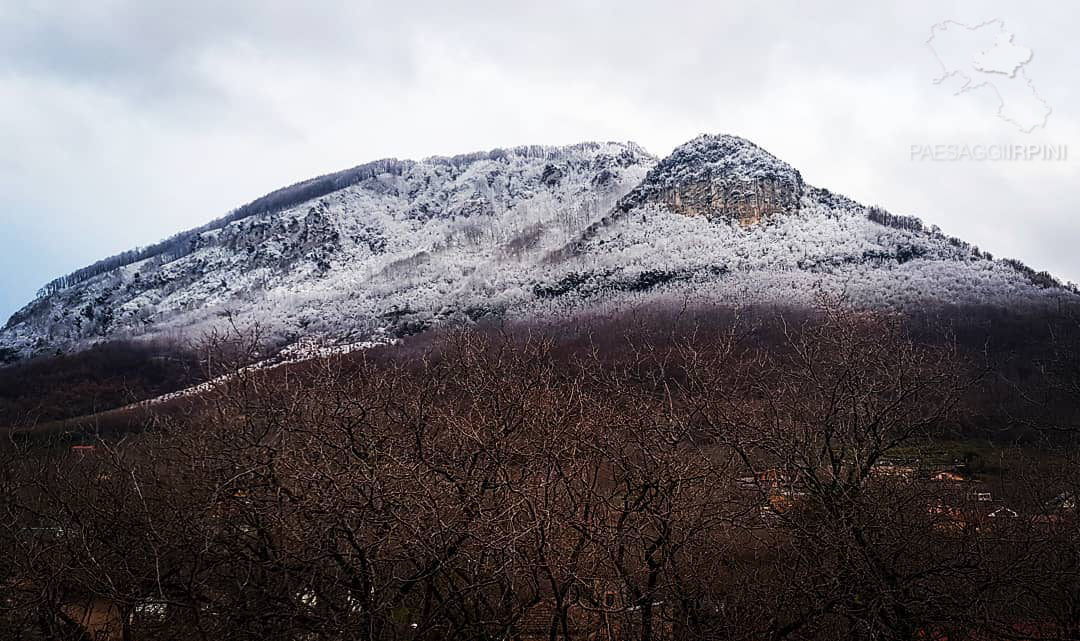 Contrada - Monte Faliesi