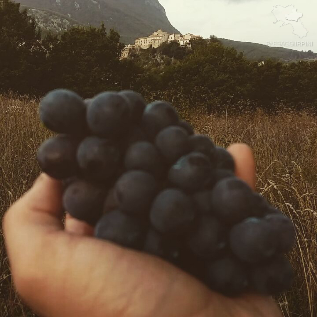 Castelvetere sul Calore