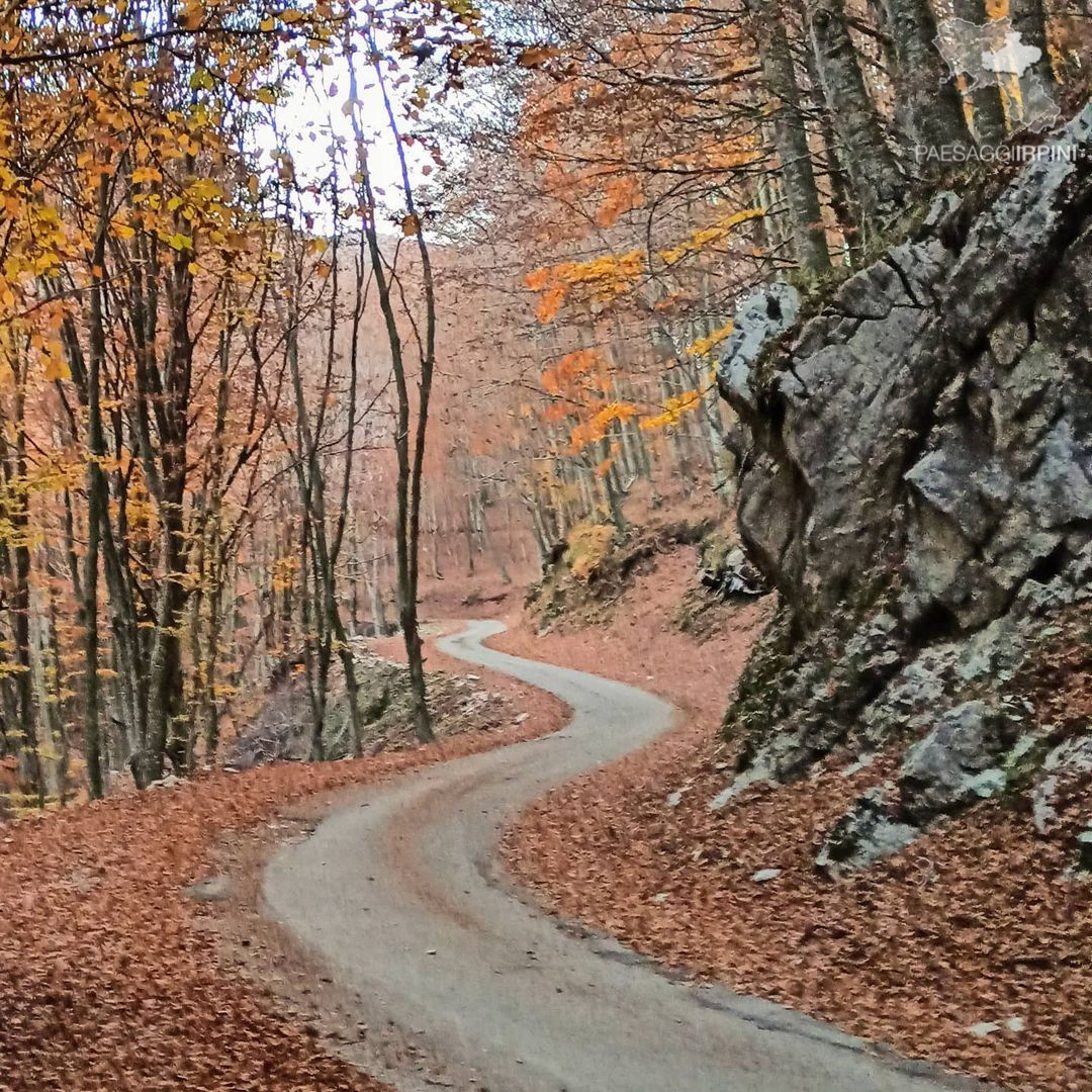 Pietrastornina