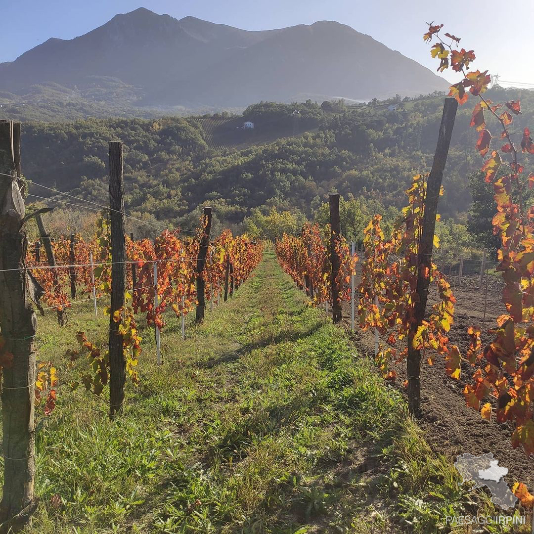 Lapio - Fiano di Avellino