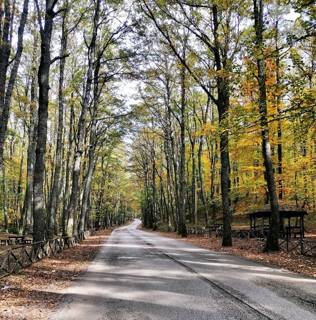 Montemarano - Bosco di Montemarano