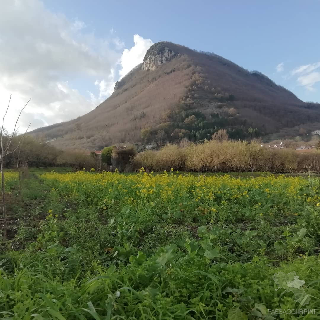 Contrada - Monte Faliesi