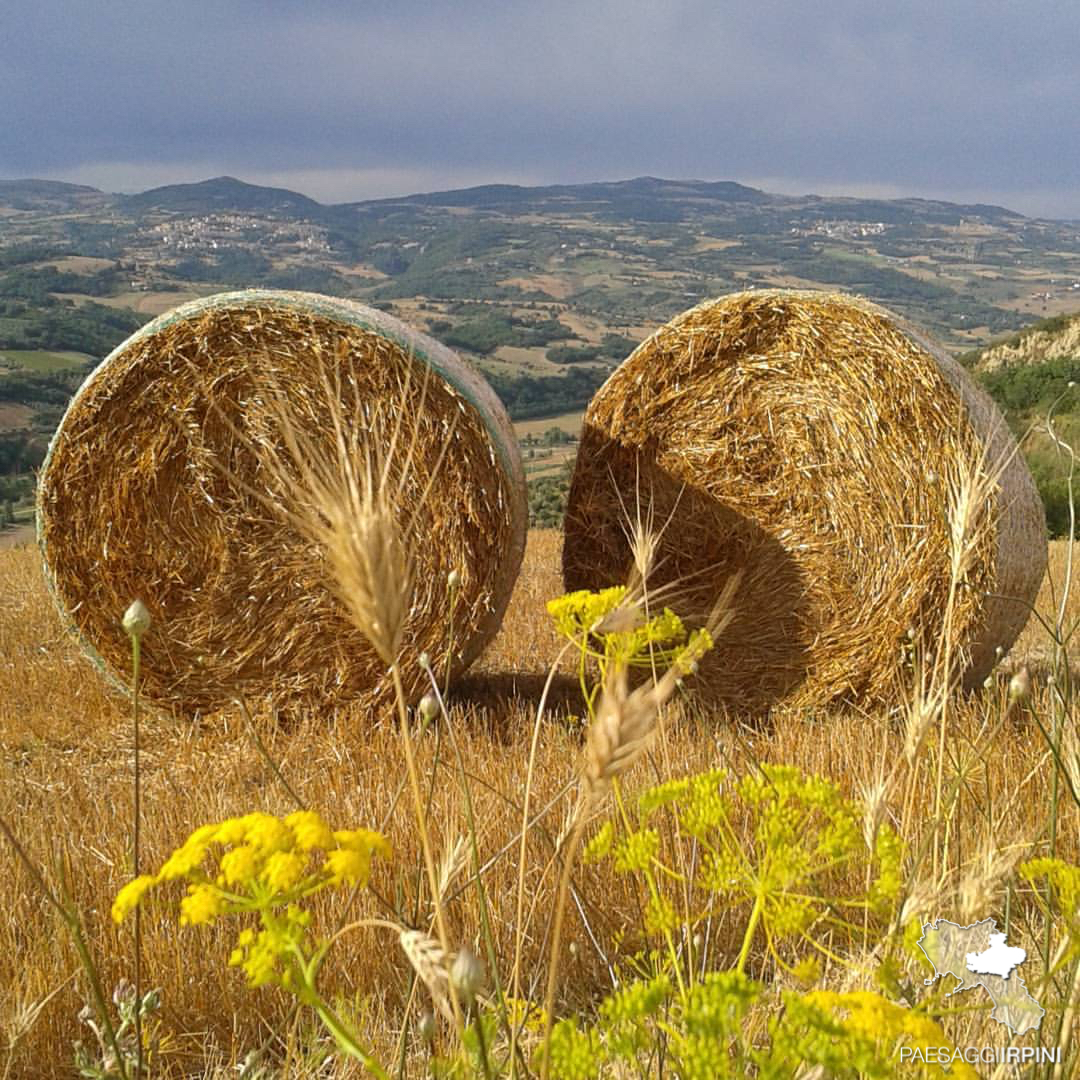 Montecalvo Irpino 