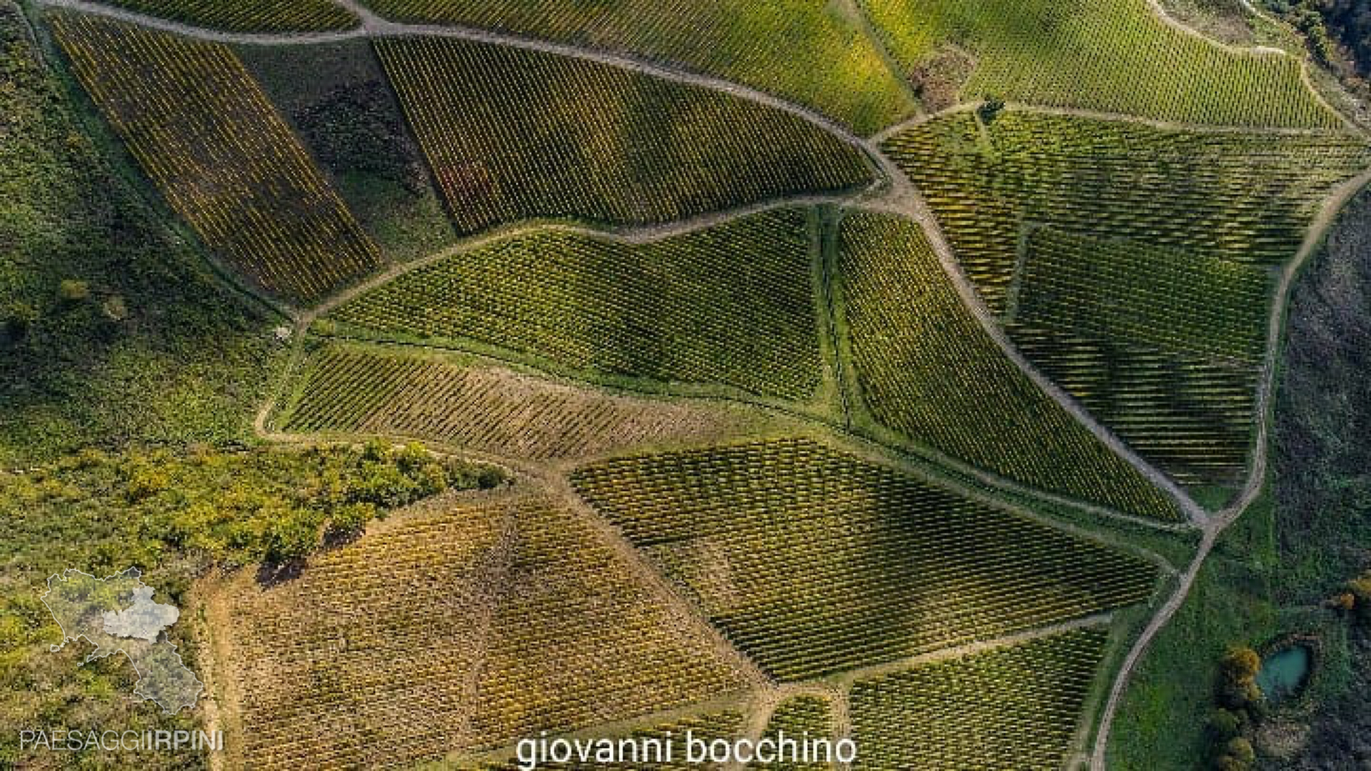 Santa Paolina - Greco di Tufo