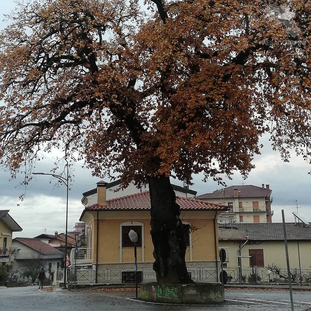 Aiello del Sabato