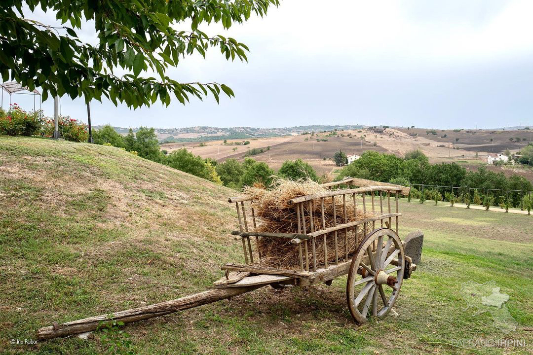 Villamaina