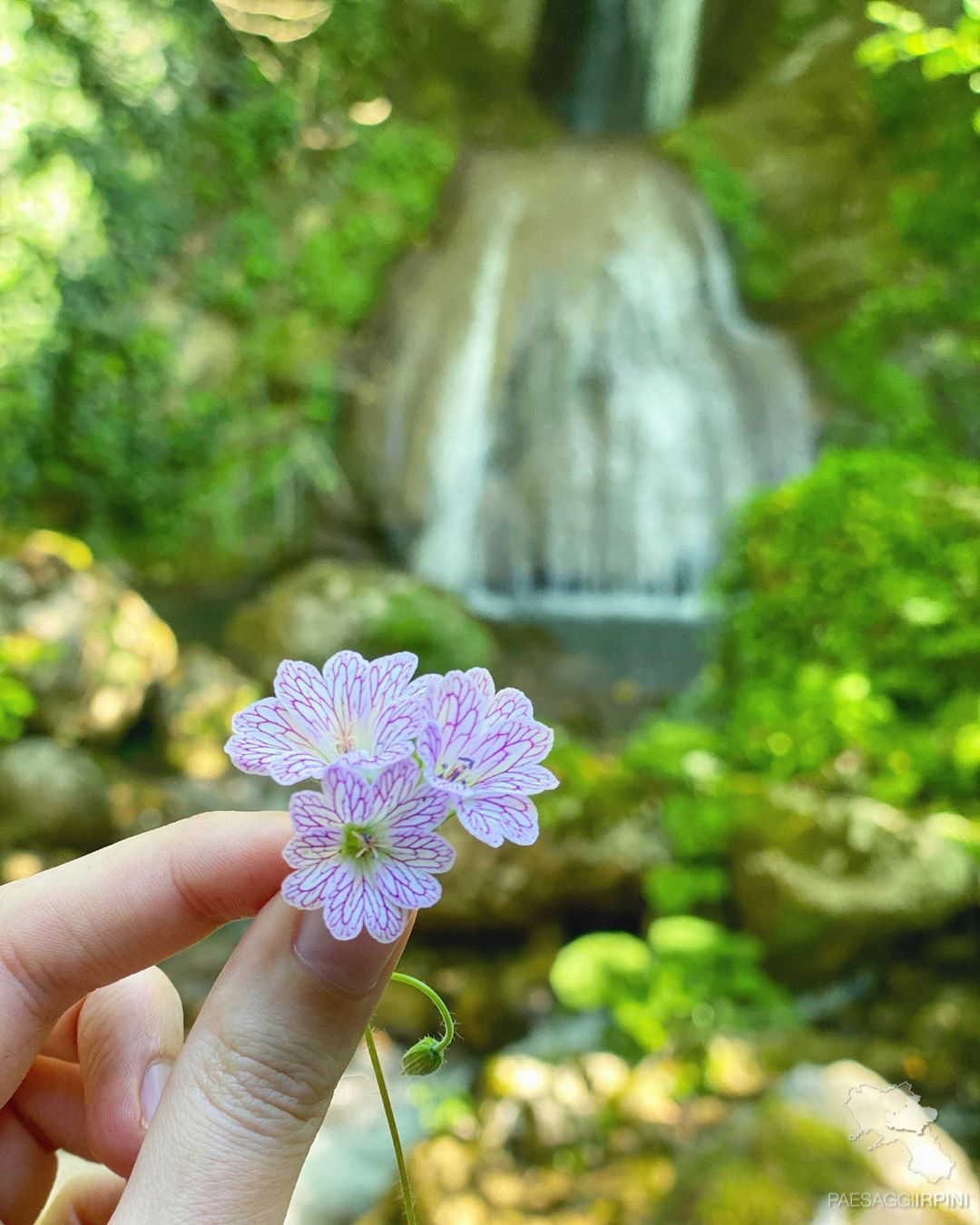 Calabritto - Cascate di Calabritto