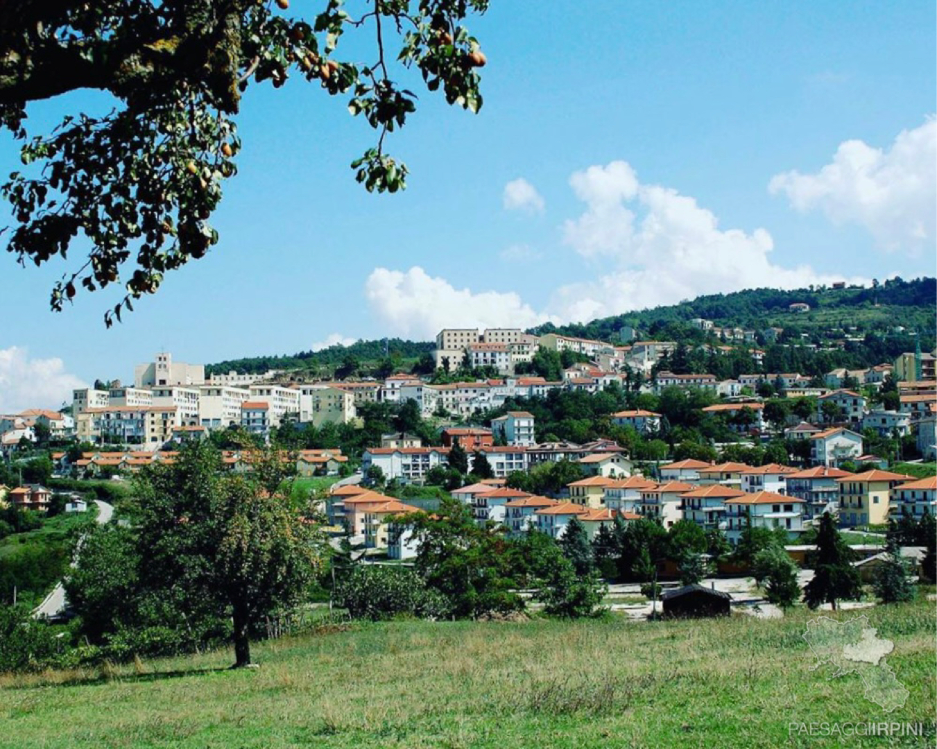 Teora