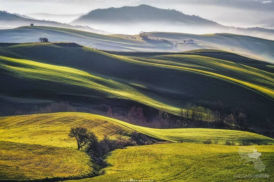 Conza della Campania