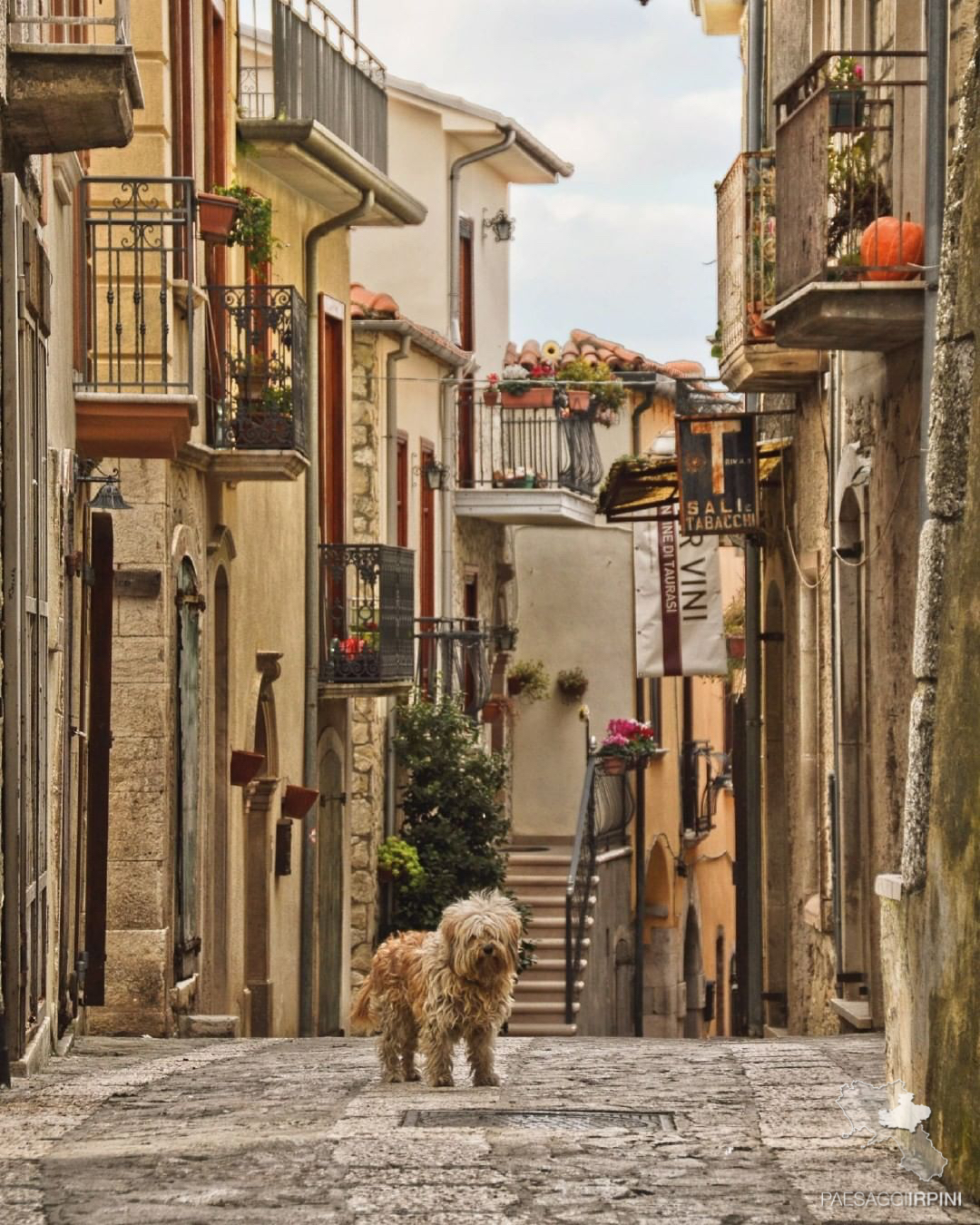 Taurasi - Centro storico